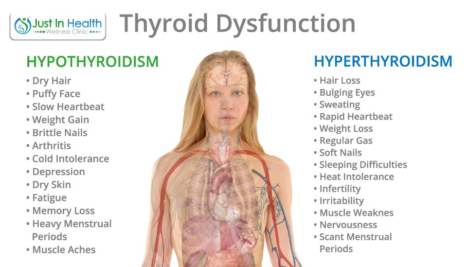 10 ESSENTIAL NUTRIENTS TO HEAL THE THYROID