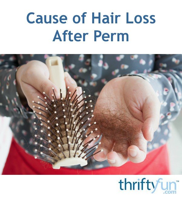 Cause of Hair Loss After Perm?
