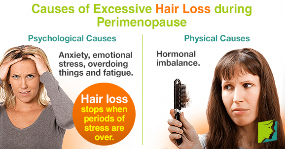 Causes of Excessive Hair Loss during Perimenopause # ...