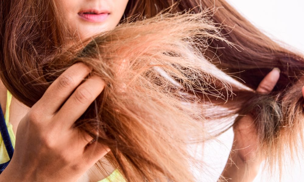 Dry and Frizzy Hair Treatments At Home Under $15