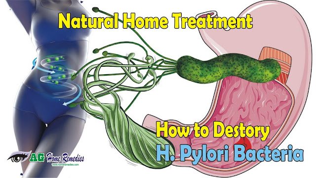 How to Destroy H. Pylori Bacteria