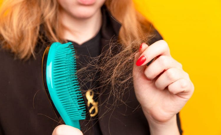 How to know if you have hair shedding or hair loss