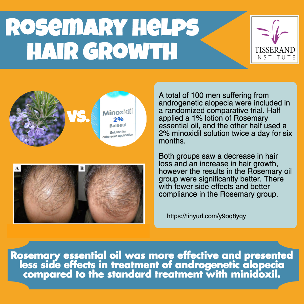 Rosemary essential oil is a promising alternative for hair ...