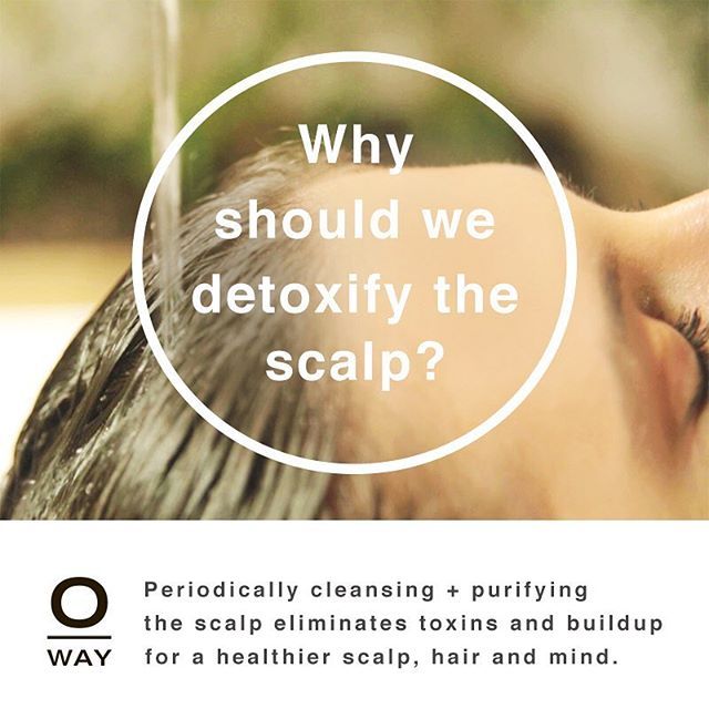 Scalp Detox Benefits Promotes healthy hair growth Purifies ...