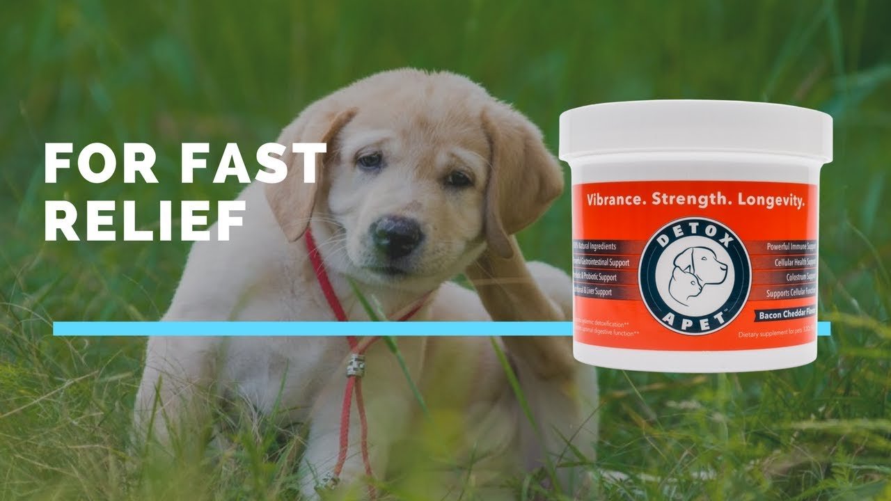Stops Dog Scratching, Dry Skin And Hair Loss