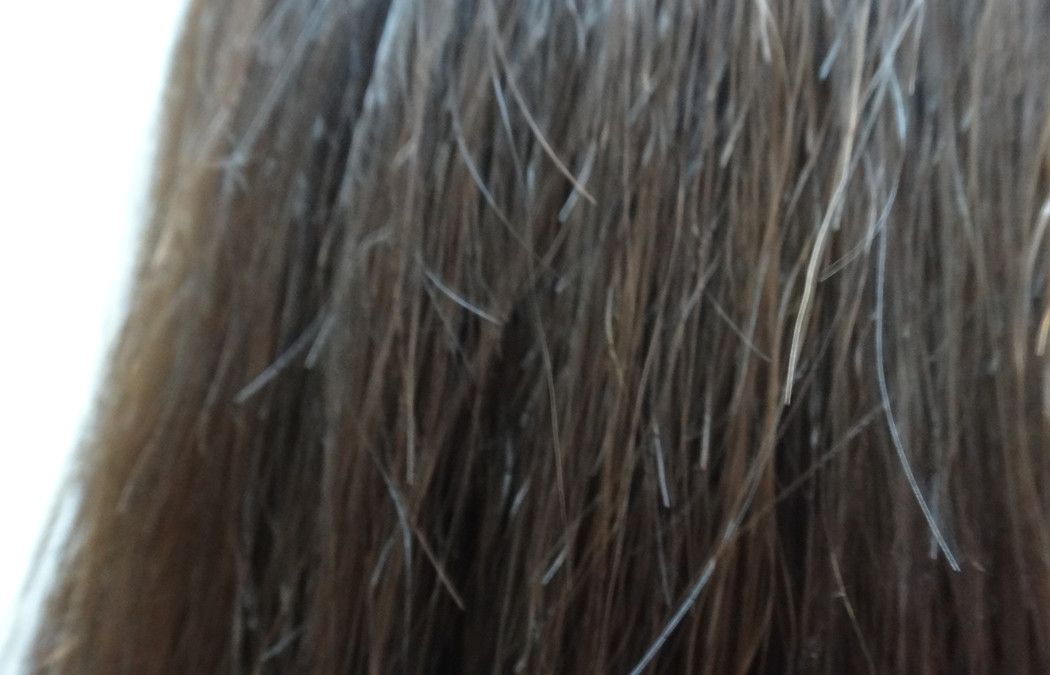 What causes hair breakage?