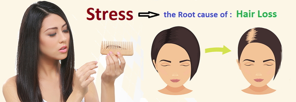 Why does stress cause hair loss?