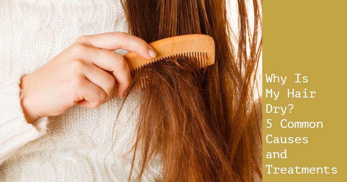 Why Is My Hair Dry? 5 Common Causes and Treatments ...