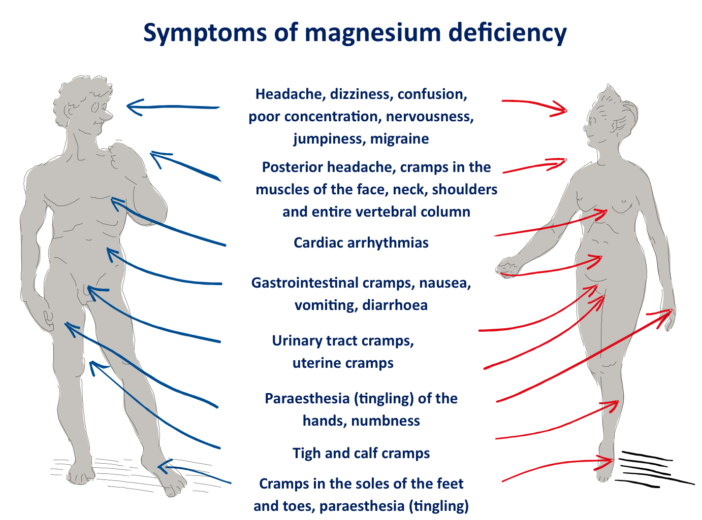 Why magnesium is important to your health